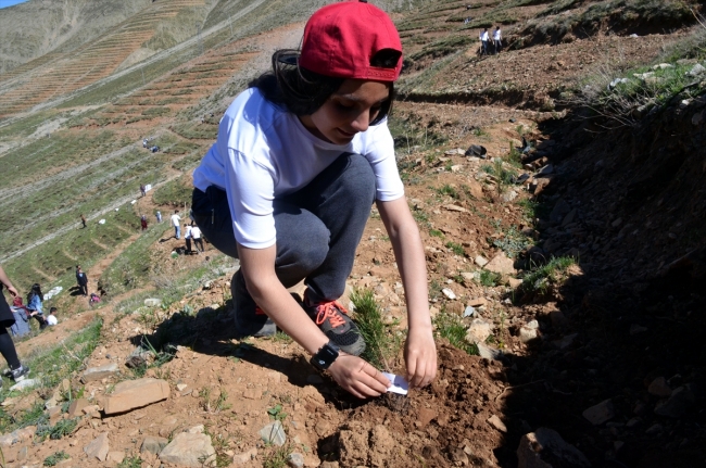 Afrin şehitlerinin adı Dideban Dağı'nda yaşatılacak