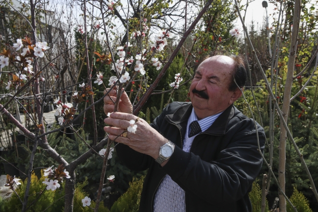 Orman aşkı 56 yıldır devam ediyor