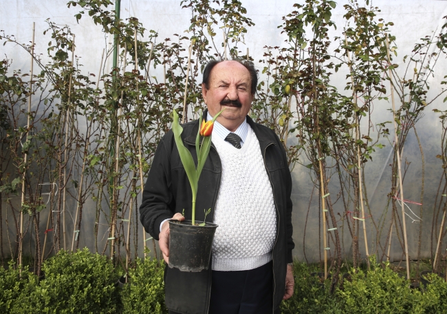 Orman aşkı 56 yıldır devam ediyor