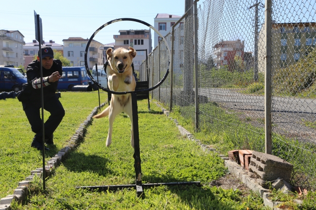 Bomba arama köpekleri suçlulara göz açtırmıyor