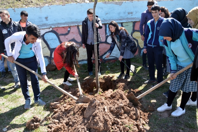 Doğubayazıt'ta okul bahçeleri ağaçlandırılıyor