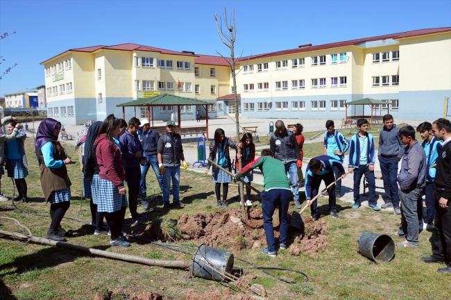 Doğubayazıt'ta okul bahçeleri ağaçlandırılıyor