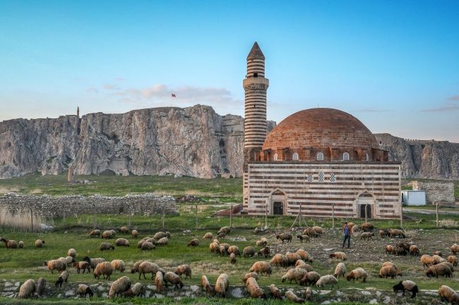 Yayla yasağının kalkmasıyla hayvancılık eski günlerine dönecek