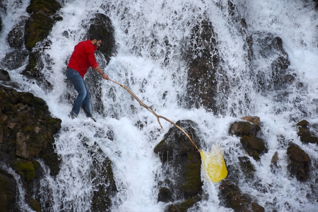 Doğu Karadeniz'in büyüleyen rotası: Tomara Şelalesi