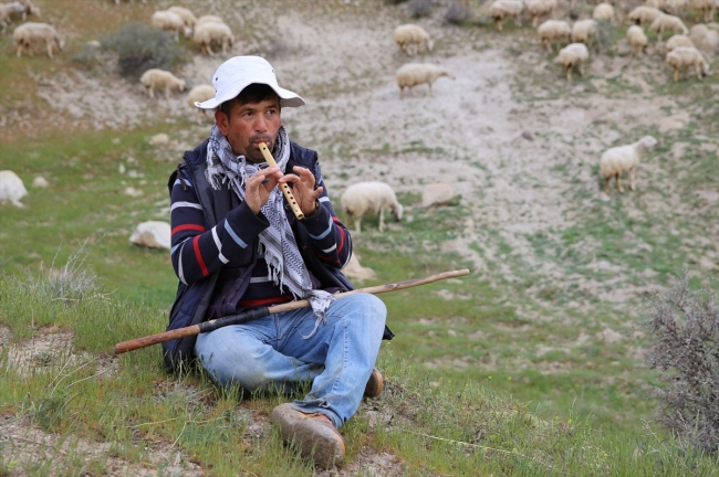Afganistanlı Ali Tahghan, Kapadokya'da çobanlık yapıyor