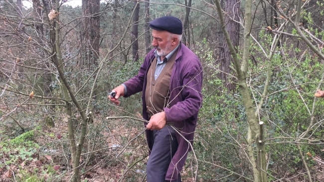 20 yıldır ağaçlara yaşam veriyor