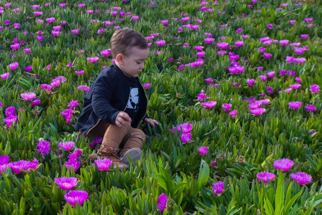 "Akdeniz'in incisi"ni bahar güzelliği sardı