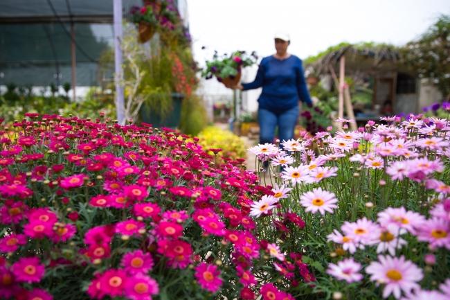 "Akdeniz'in incisi"ni bahar güzelliği sardı