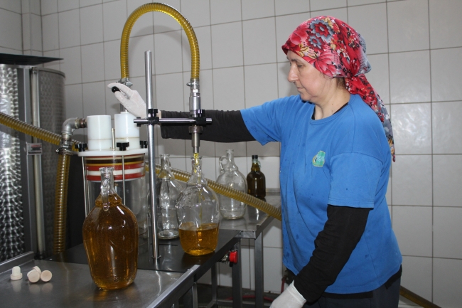 ABD'ye zeytinyağı ihracatında rekor