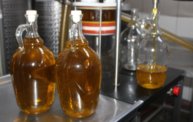 ABD'ye zeytinyağı ihracatında rekor