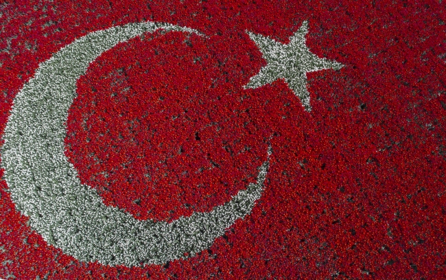 Türk Bayrağı temalı laleler rekor kırdı