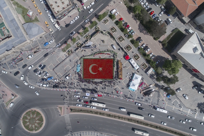Türk Bayrağı temalı laleler rekor kırdı