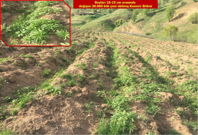 Diyarbakır'da 4 terörist etkisiz hale getirildi