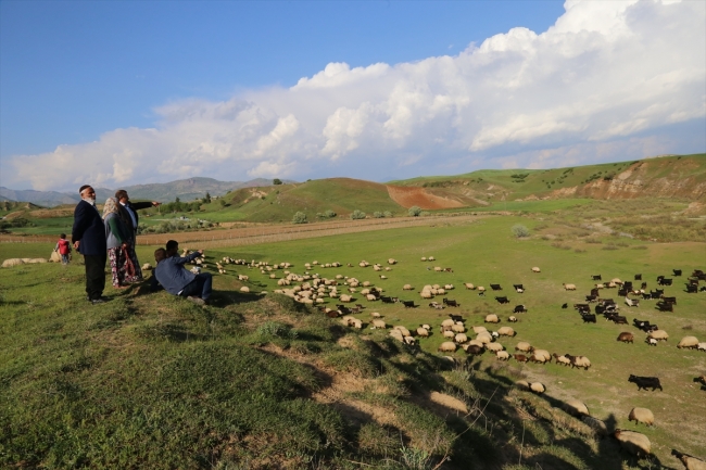 Batman'daki göçerlerin yayla yolculuğu başladı