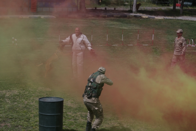 Terörle mücadelenin mayın ve EYP köpeklerine özel eğitim