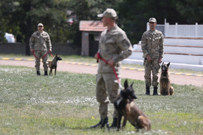 Terörle mücadelenin mayın ve EYP köpeklerine özel eğitim