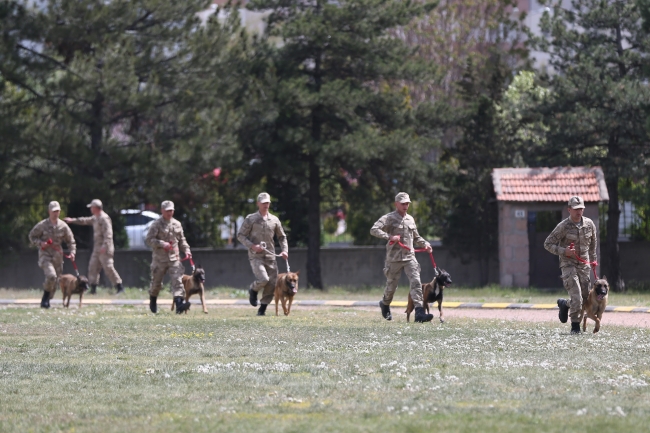 Terörle mücadelenin mayın ve EYP köpeklerine özel eğitim