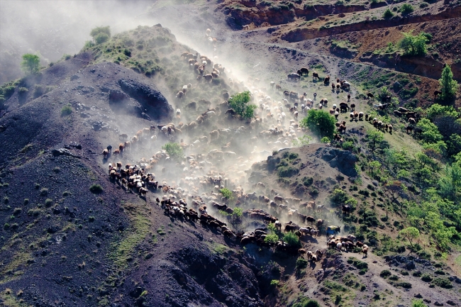 Göçerlerin asırlardır süren çileli yolculuğu