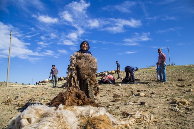 Göçerlerin asırlardır süren çileli yolculuğu