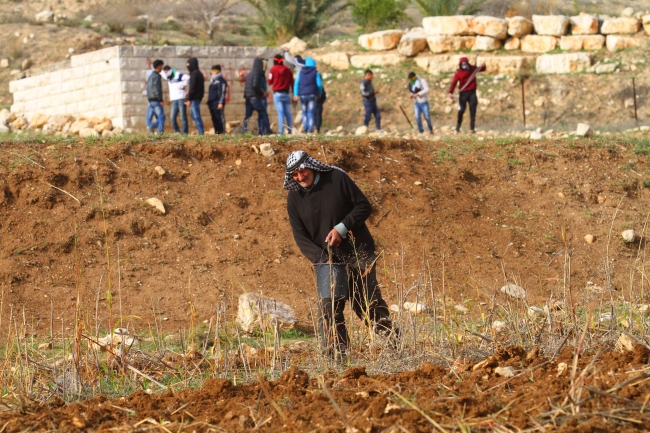 Filistinli çiftçi İsrail mermilerine aldırmadan arazisini ekiyor