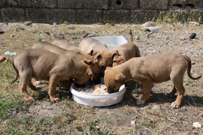 Kula Gençlik Merkezi'nden örnek davranış