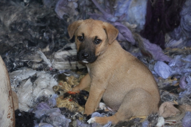 Kula Gençlik Merkezi'nden örnek davranış