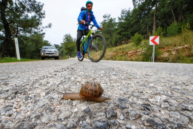 Türkiye'nin en uzun trekking rotası: Karia Yolu
