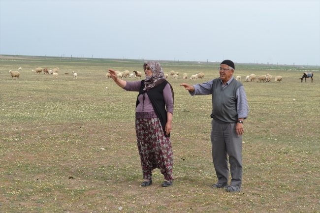 Kızıl çifti, organik yoğurt satarak geçimini sağlıyor
