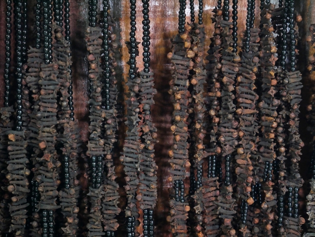 Edremit'te meyve çekirdekleri ve bitkilerden takı yapıyorlar