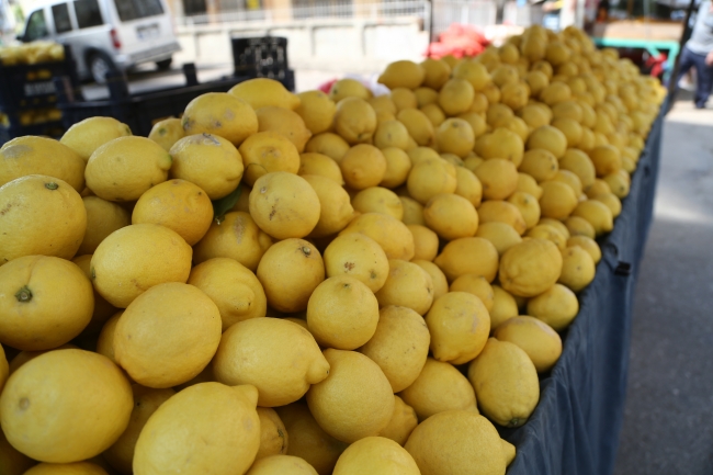 Adana'da narenciye sezonu "mutlu" sona erdi