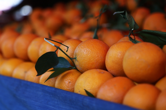 Adana'da narenciye sezonu "mutlu" sona erdi