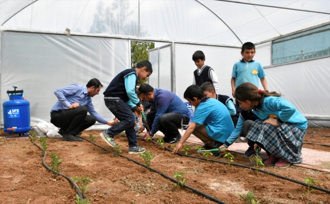 Öğrenciler tarım ve hayvancılıkla iç içe eğitim görüyor