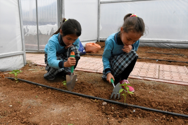 Öğrenciler tarım ve hayvancılıkla iç içe eğitim görüyor
