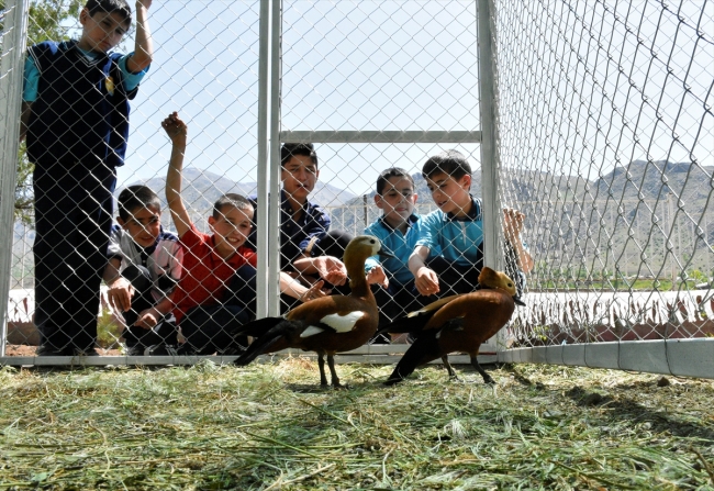 Öğrenciler tarım ve hayvancılıkla iç içe eğitim görüyor