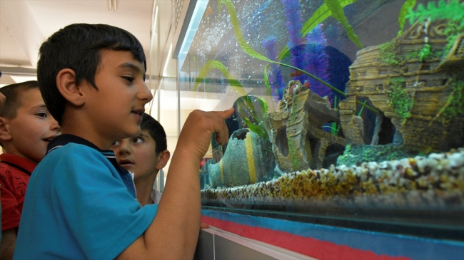 Öğrenciler tarım ve hayvancılıkla iç içe eğitim görüyor