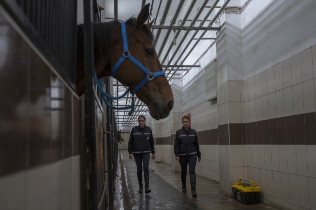 Atlı birliklerdeki iki kadın astsubay, atların bakımında da görev alıyor