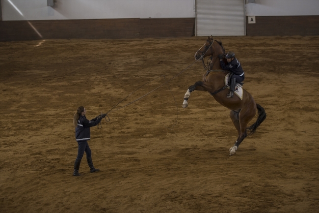 Atlı birliklerdeki iki kadın astsubay, atların bakımında da görev alıyor