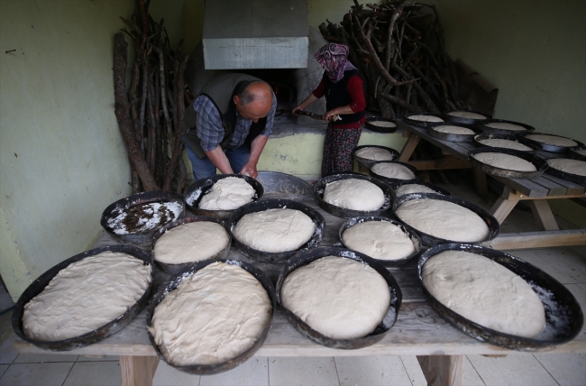 Ovakorusu'ndaki ayılara 15 yıldır 'bebek gibi' bakıyor