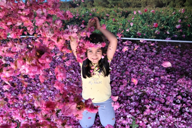 Turistlerin yeni gözdesi: Isparta gül bahçeleri