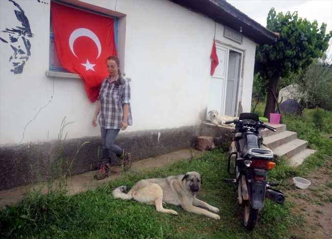 Yıllarca şehir hayatı yaşayan Elif Sarıkaya, köyde keçi güdüyor