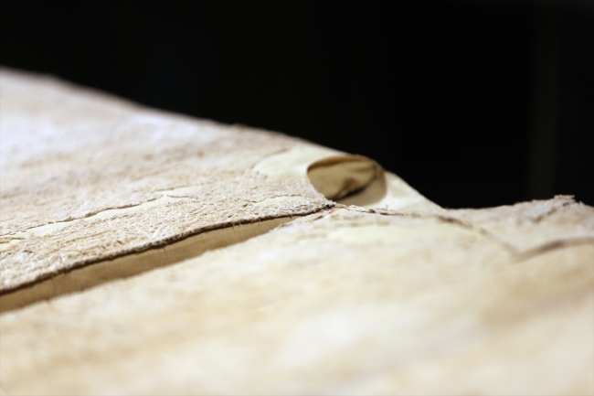 Hırka-i Şerif ziyarete açıldı