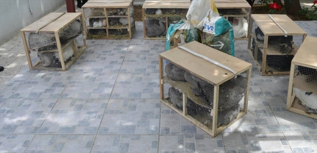 Keşan'da hayvan kaçakçılığı operasyonu