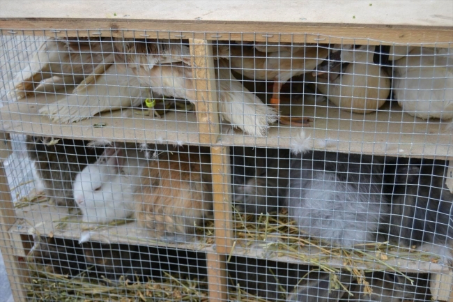 Keşan'da hayvan kaçakçılığı operasyonu