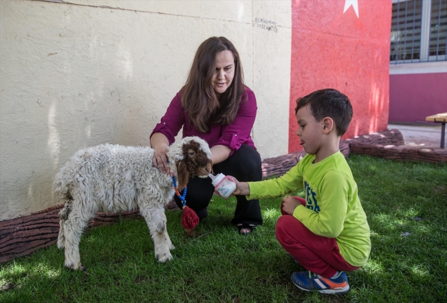 Öğrenciler hayvan sevgisini anaokulunda öğreniyor