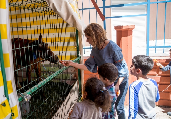 Öğrenciler hayvan sevgisini anaokulunda öğreniyor