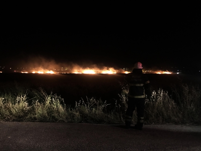 Hatay'da buğday tarlasında yangın