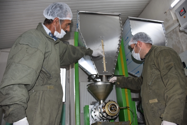 Yüksekova'dan ABD'ye aspir yağı ihracatı