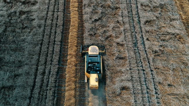 Çukurova'nın bereketli topraklarını hükümlüler de ekiyor
