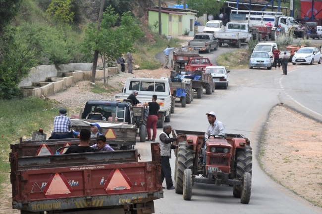 Bilecik'te açık artırmayla kiraz satışına yoğun ilgi
