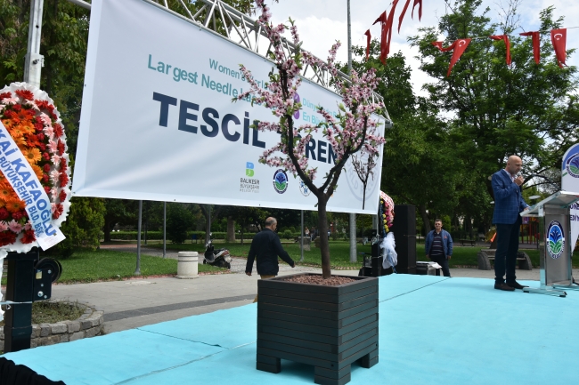 'İğne oyalı şeftali ağacı' Guinness'e girdi